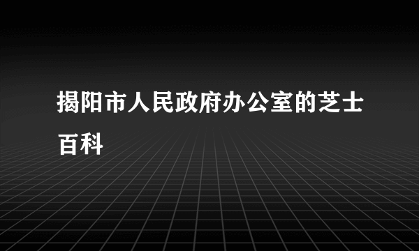 揭阳市人民政府办公室的芝士百科