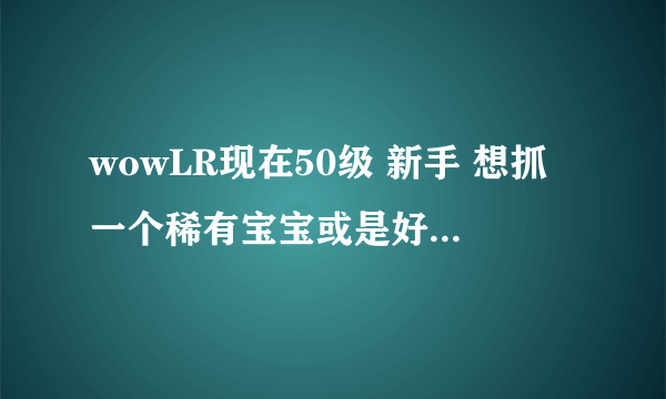 wowLR现在50级 新手 想抓一个稀有宝宝或是好一点的宝宝