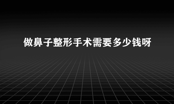 做鼻子整形手术需要多少钱呀