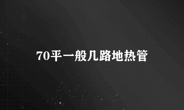 70平一般几路地热管