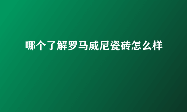 哪个了解罗马威尼瓷砖怎么样