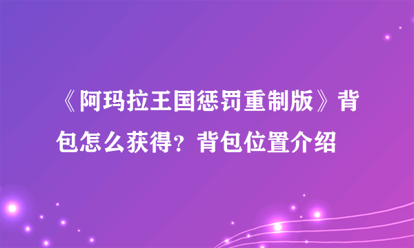 《阿玛拉王国惩罚重制版》背包怎么获得？背包位置介绍