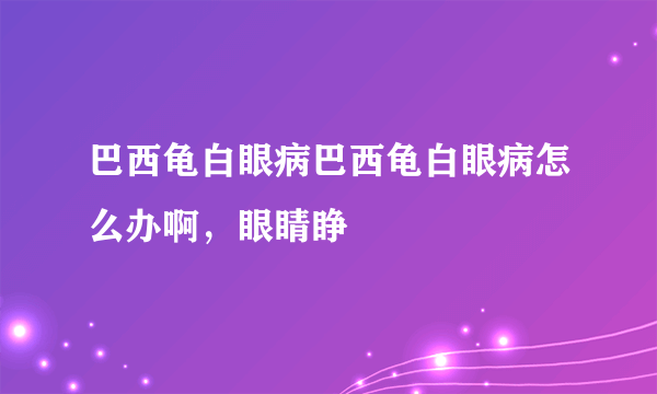 巴西龟白眼病巴西龟白眼病怎么办啊，眼睛睁