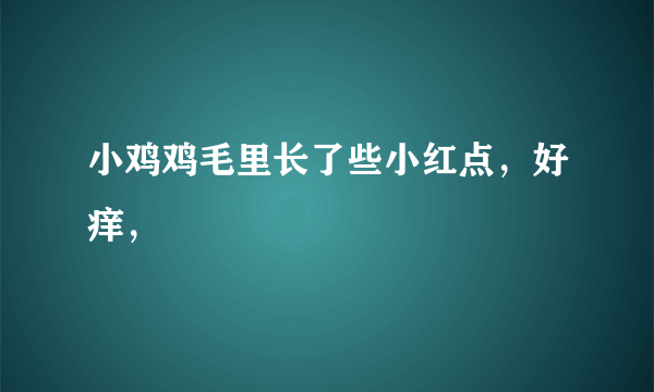 小鸡鸡毛里长了些小红点，好痒，