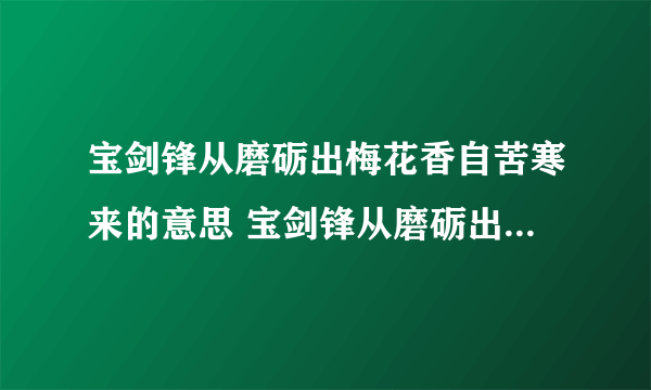 宝剑锋从磨砺出梅花香自苦寒来的意思 宝剑锋从磨砺出梅花香自苦寒来什么意思