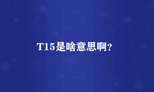 T15是啥意思啊？