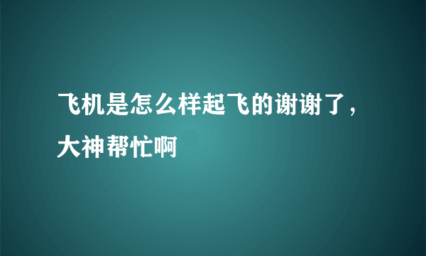 飞机是怎么样起飞的谢谢了，大神帮忙啊