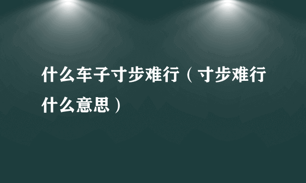 什么车子寸步难行（寸步难行什么意思）