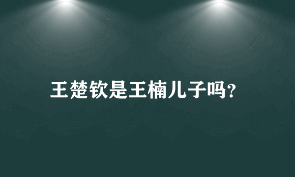 王楚钦是王楠儿子吗？