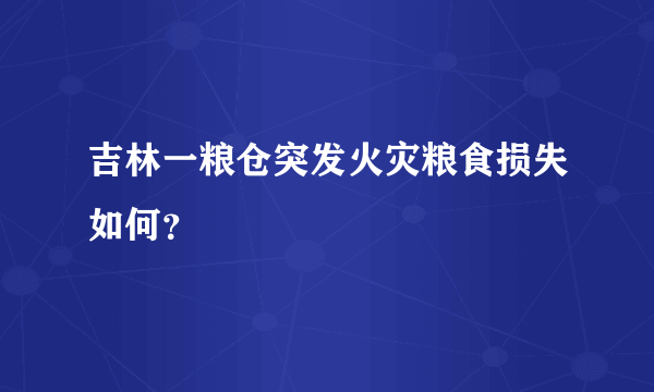 吉林一粮仓突发火灾粮食损失如何？