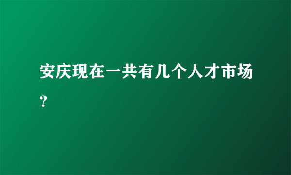 安庆现在一共有几个人才市场？