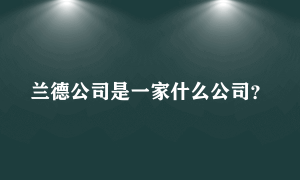 兰德公司是一家什么公司？