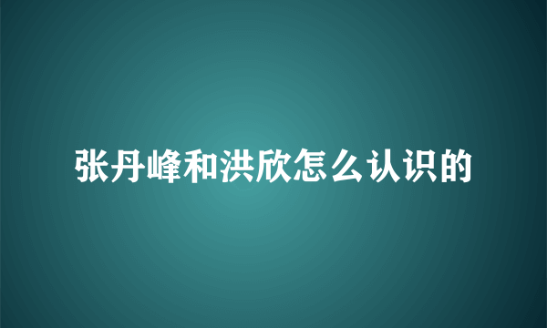 张丹峰和洪欣怎么认识的