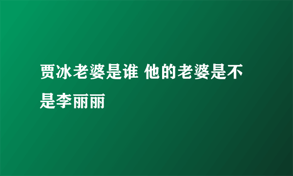 贾冰老婆是谁 他的老婆是不是李丽丽