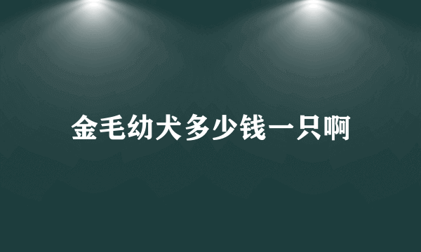 金毛幼犬多少钱一只啊