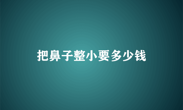 把鼻子整小要多少钱