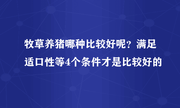 牧草养猪哪种比较好呢？满足适口性等4个条件才是比较好的