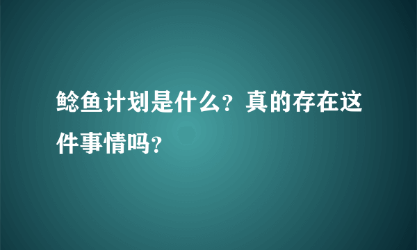 鲶鱼计划是什么？真的存在这件事情吗？