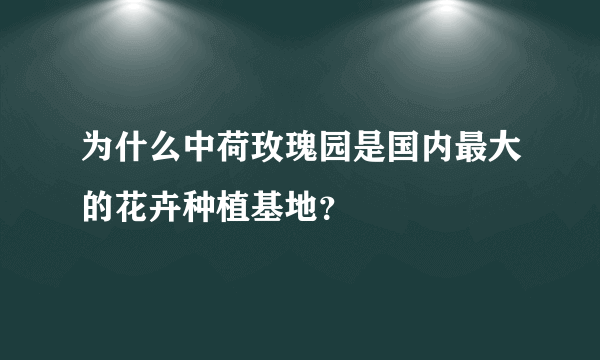 为什么中荷玫瑰园是国内最大的花卉种植基地？