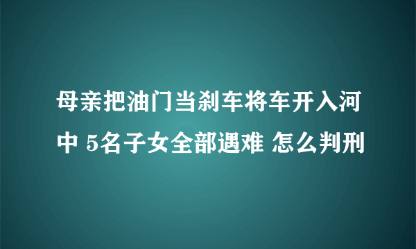 母亲把油门当刹车将车开入河中 5名子女全部遇难 怎么判刑