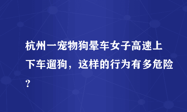 杭州一宠物狗晕车女子高速上下车遛狗，这样的行为有多危险？