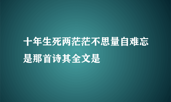 十年生死两茫茫不思量自难忘是那首诗其全文是