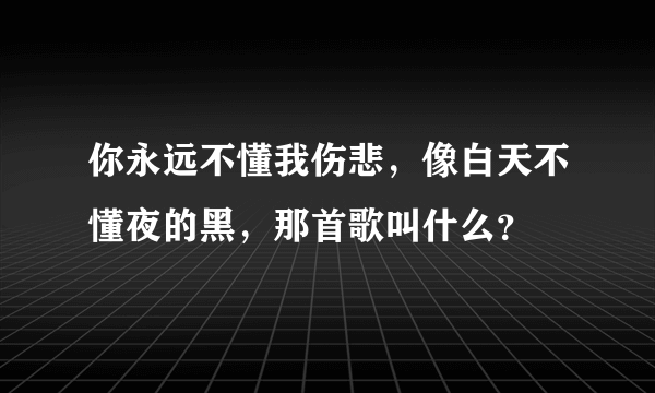 你永远不懂我伤悲，像白天不懂夜的黑，那首歌叫什么？