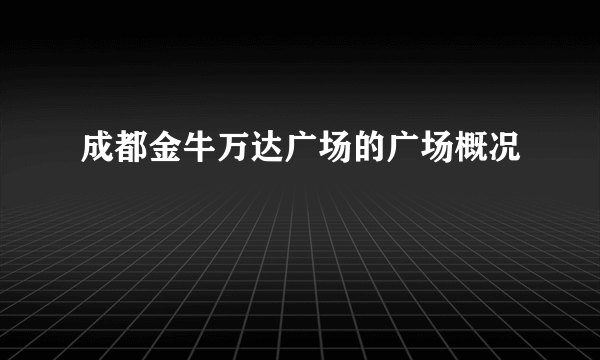 成都金牛万达广场的广场概况