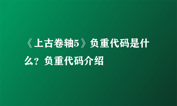 《上古卷轴5》负重代码是什么？负重代码介绍