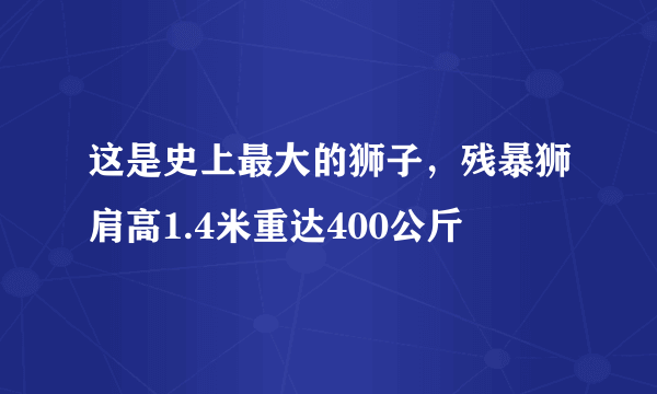 这是史上最大的狮子，残暴狮肩高1.4米重达400公斤