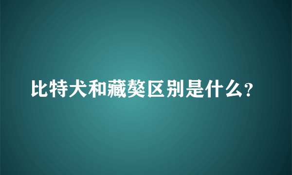 比特犬和藏獒区别是什么？