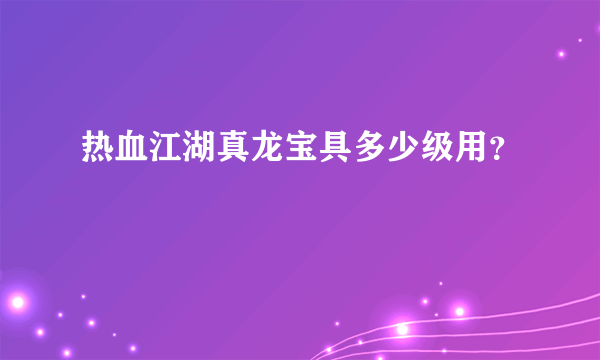 热血江湖真龙宝具多少级用？