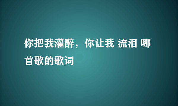 你把我灌醉，你让我 流泪 哪首歌的歌词