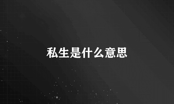 私生是什么意思