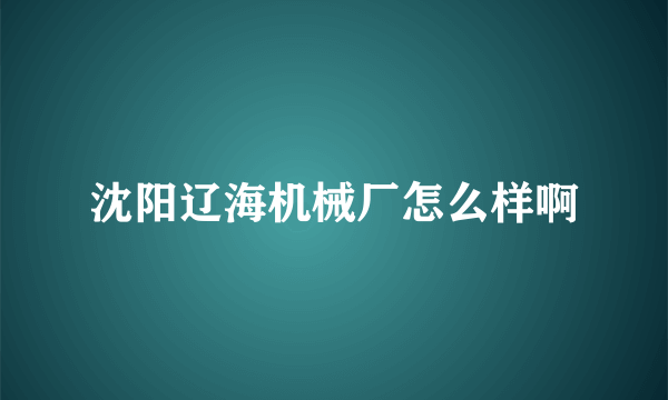 沈阳辽海机械厂怎么样啊