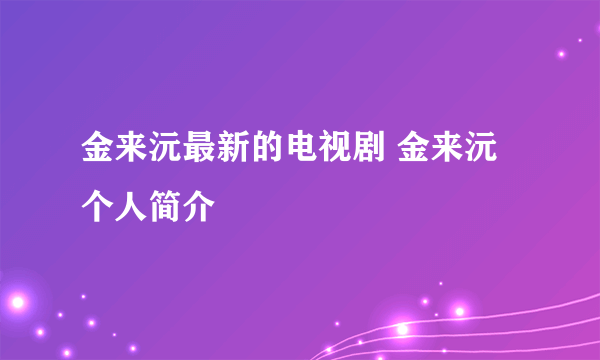 金来沅最新的电视剧 金来沅个人简介