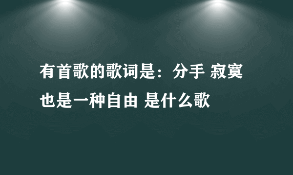 有首歌的歌词是：分手 寂寞也是一种自由 是什么歌