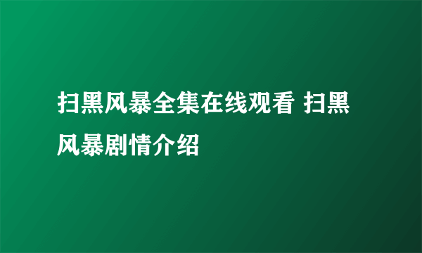 扫黑风暴全集在线观看 扫黑风暴剧情介绍