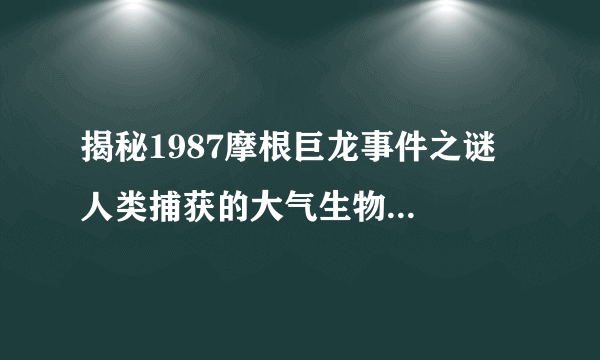 揭秘1987摩根巨龙事件之谜  人类捕获的大气生物疑是东方神龙