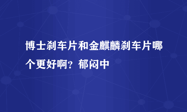 博士刹车片和金麒麟刹车片哪个更好啊？郁闷中