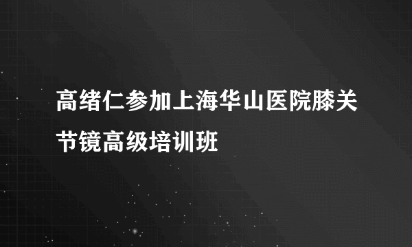 高绪仁参加上海华山医院膝关节镜高级培训班