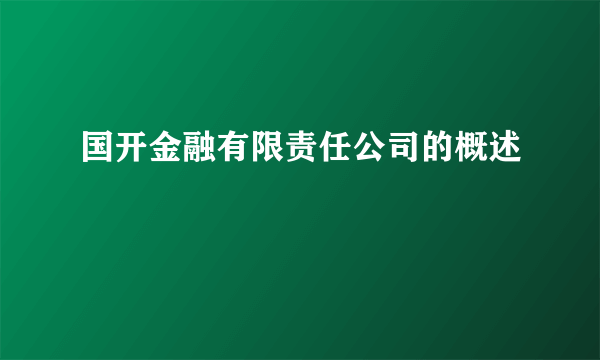 国开金融有限责任公司的概述