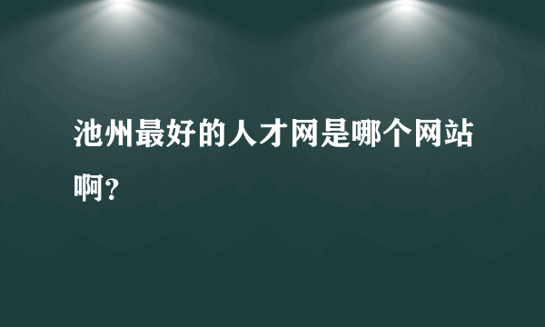 池州最好的人才网是哪个网站啊？