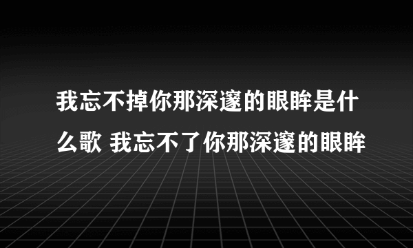 我忘不掉你那深邃的眼眸是什么歌 我忘不了你那深邃的眼眸