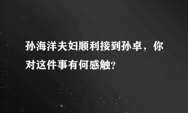 孙海洋夫妇顺利接到孙卓，你对这件事有何感触？