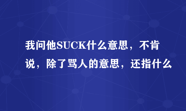 我问他SUCK什么意思，不肯说，除了骂人的意思，还指什么