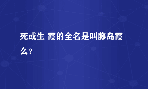 死或生 霞的全名是叫藤岛霞么？