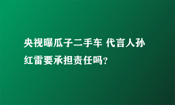 央视曝瓜子二手车 代言人孙红雷要承担责任吗？