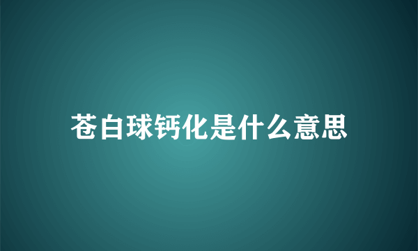 苍白球钙化是什么意思