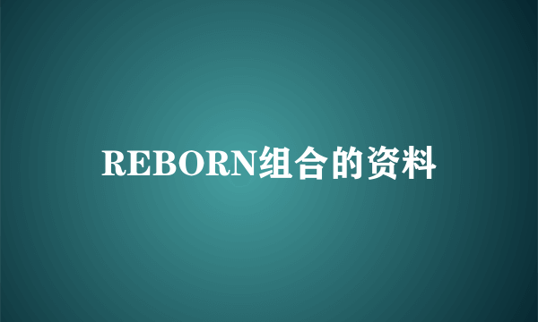 REBORN组合的资料